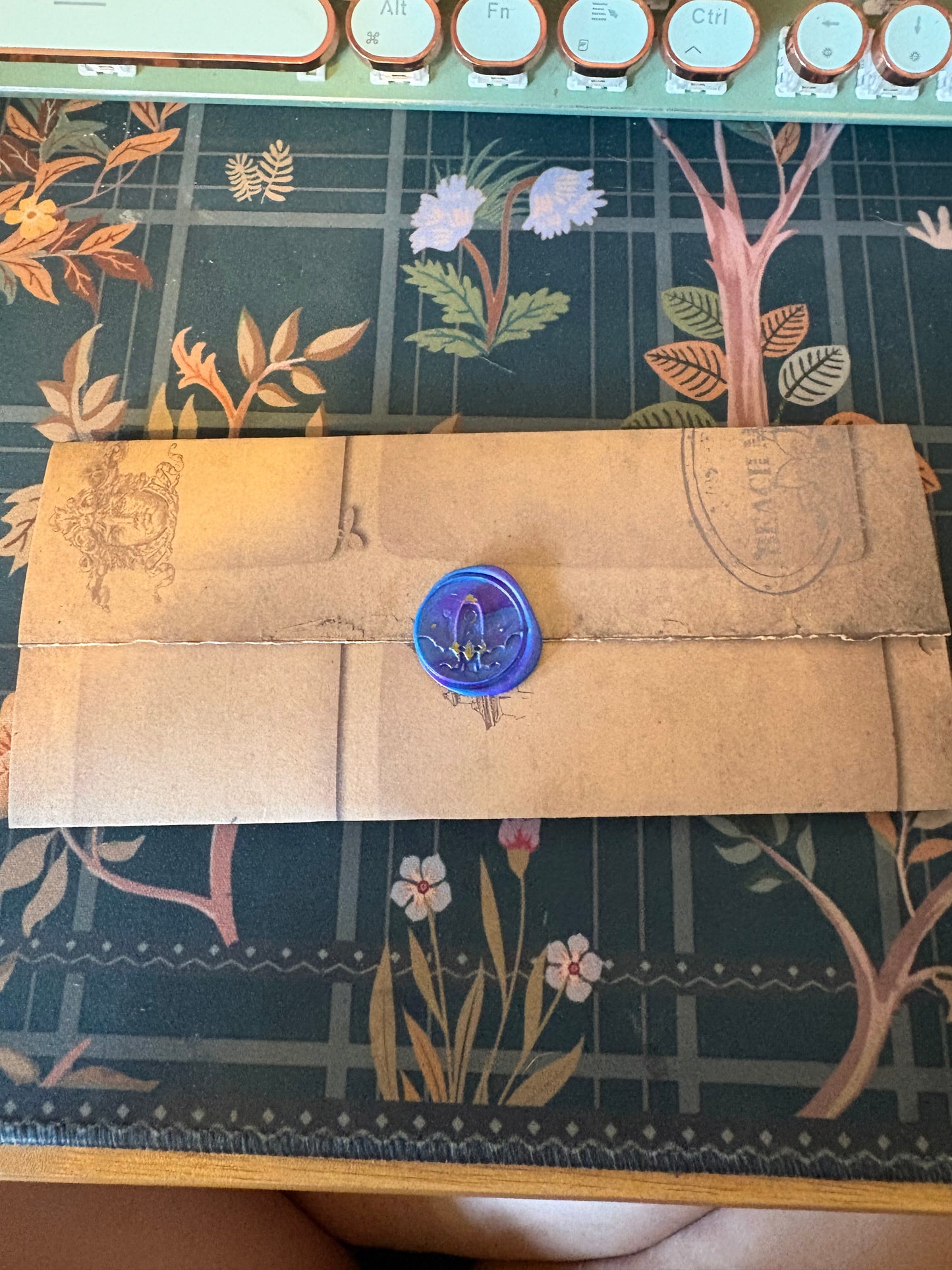 Moonlit Study Bundle
